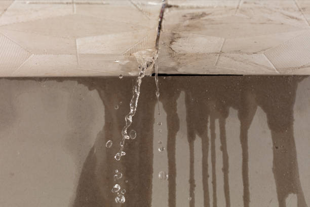 Professional Water Extraction technician working in Nutley, NJ